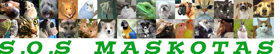 sosmaskotas@yahoo.com
